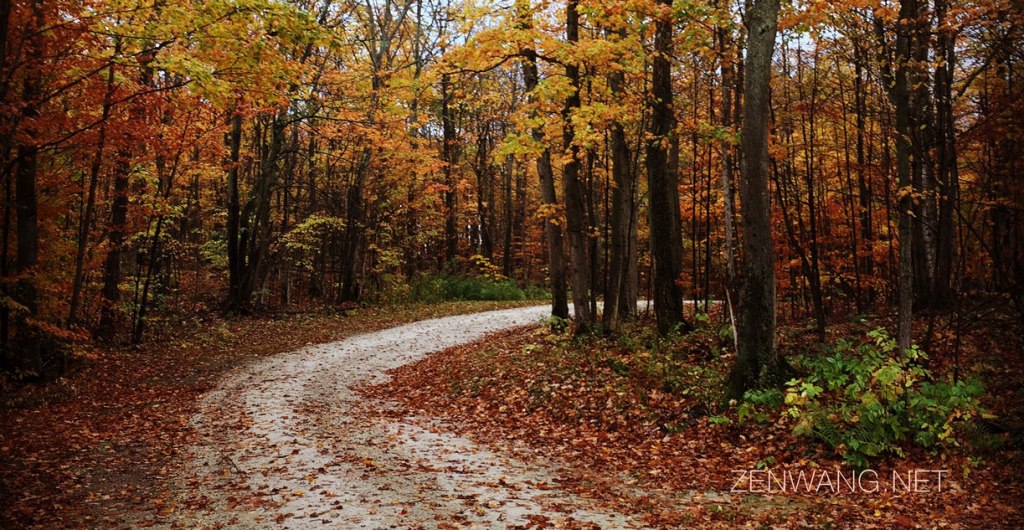 Forgiveness, magic for the&nbsp;soul