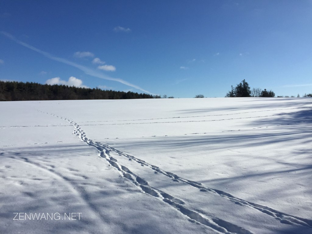 Western Civilization from A Chinese&nbsp;Perspective