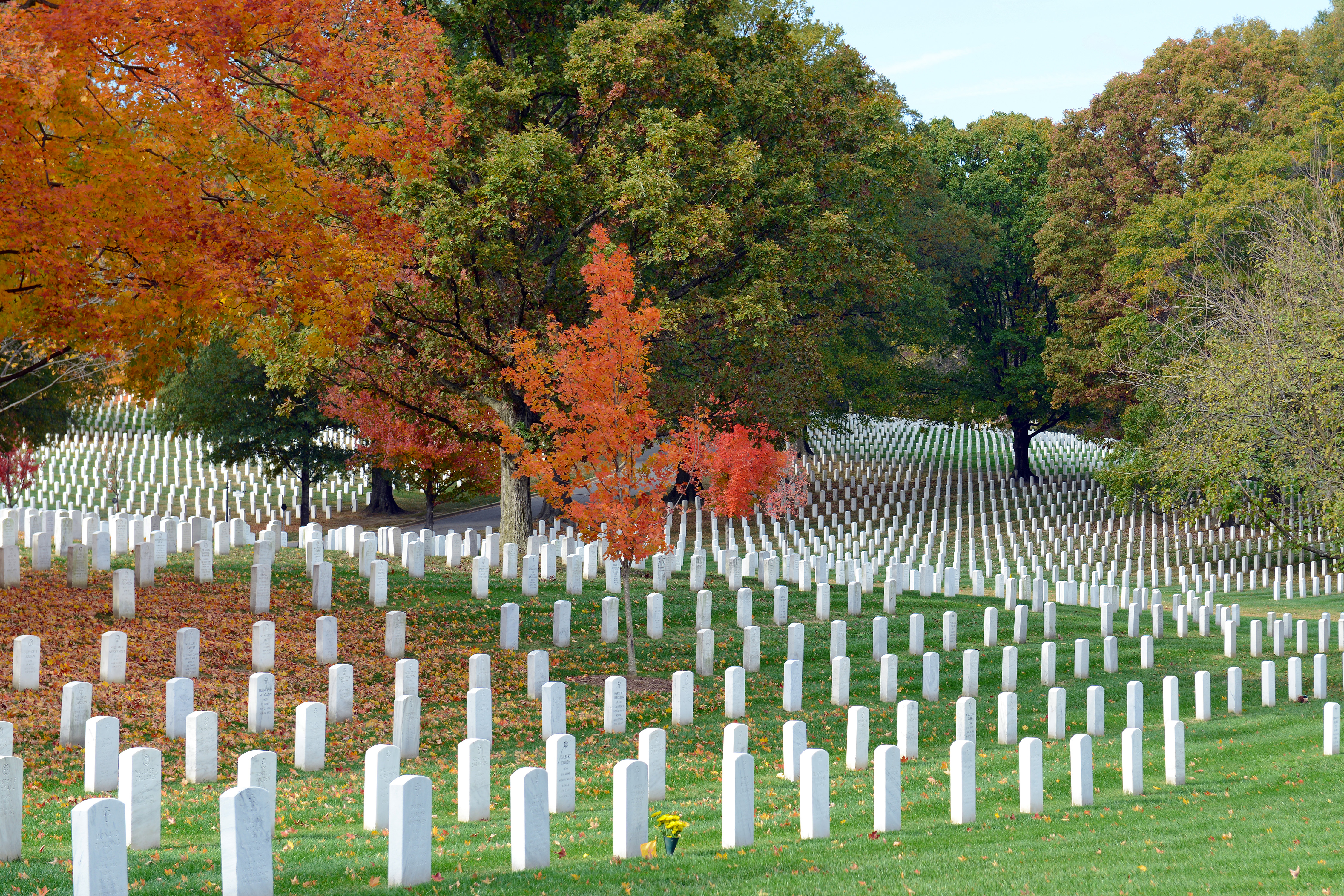 Headstones in Arlington National Cemetery in Washington DC, USA