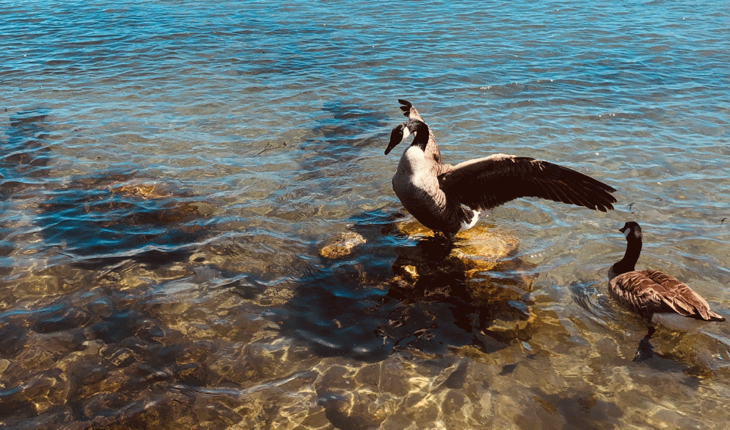 Peace as a state of&nbsp;being