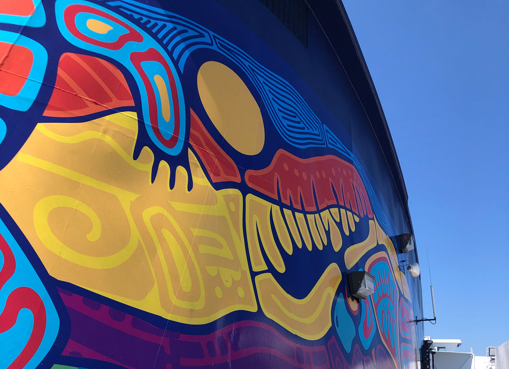 Life on a Cruise&nbsp;Ship